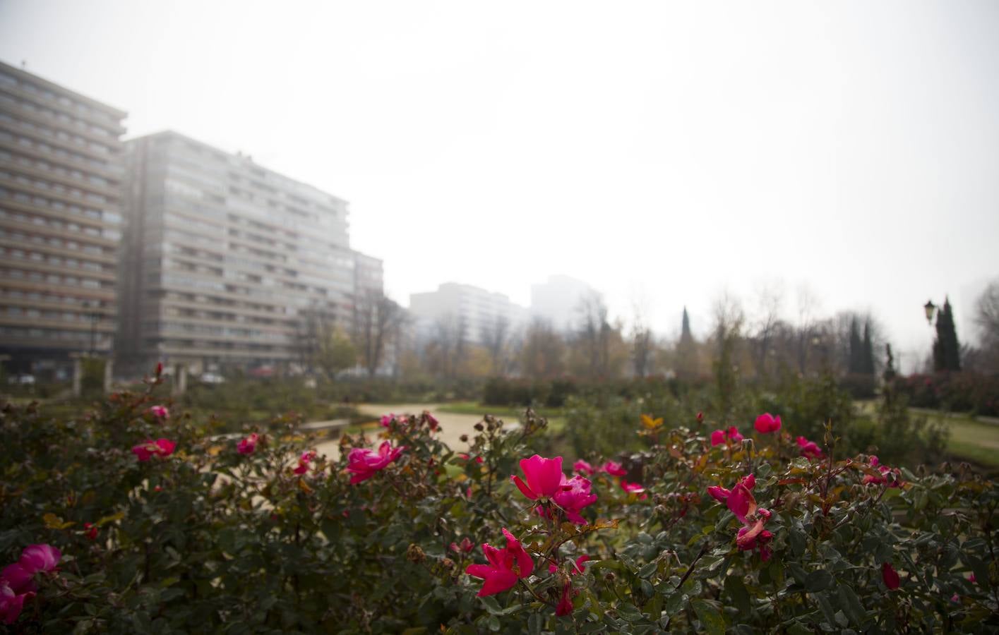 Niebla en Valladolid