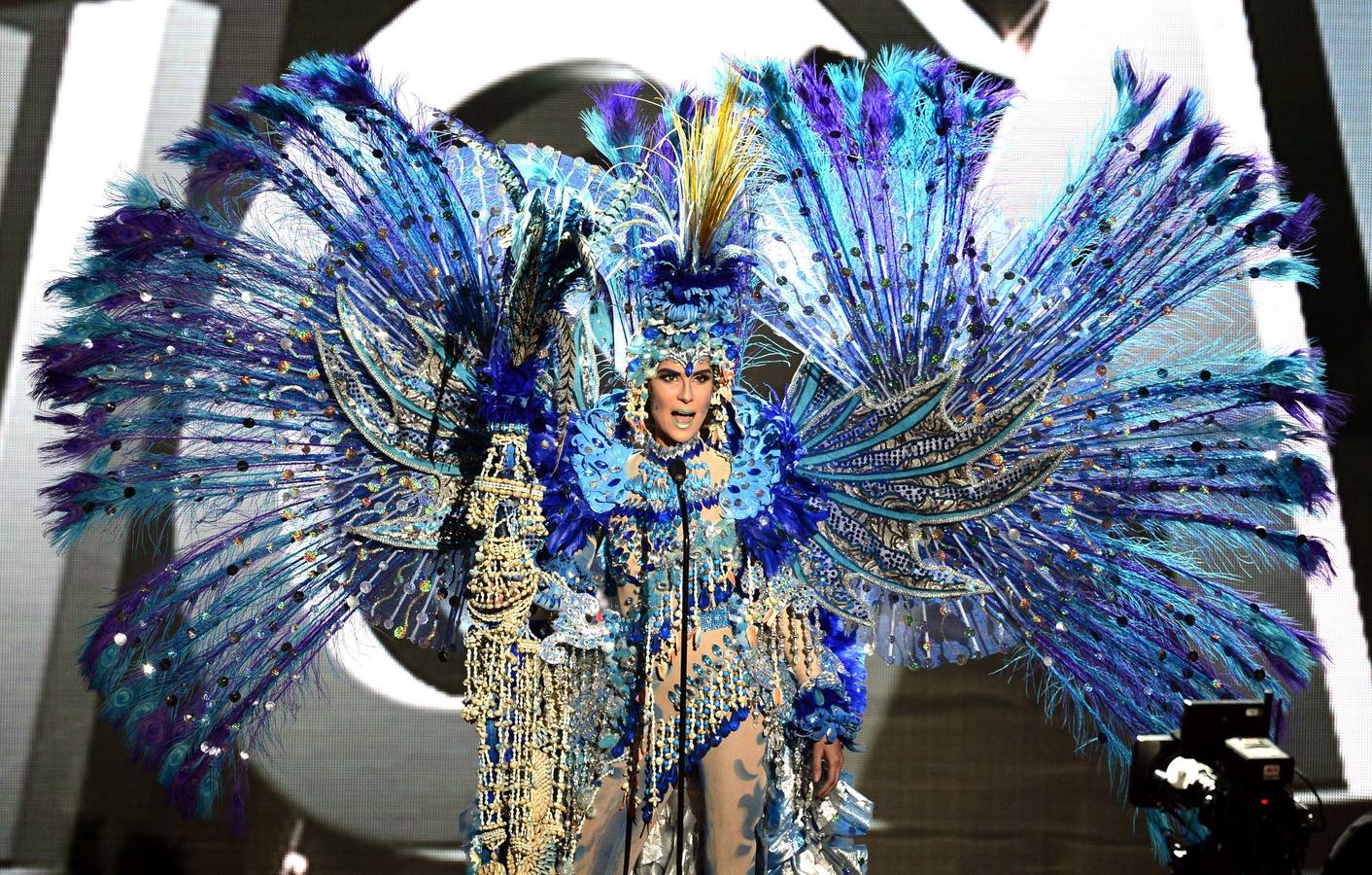 Previas de la selección final de Miss Universo 2015