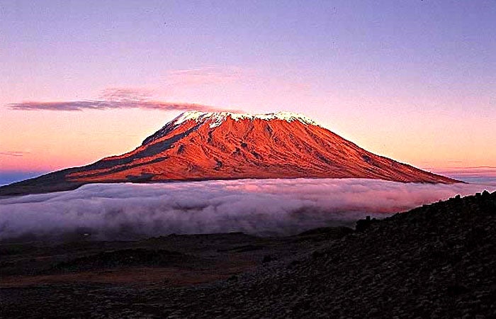 El Rey León. El inconfundible Kilimanjaro.