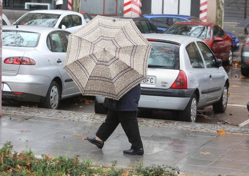 Temporal de lluvia y viento en Valladolid