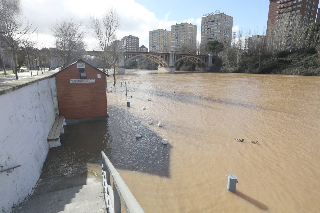 Crecida del río Pisuerga a su paso por Valladolid