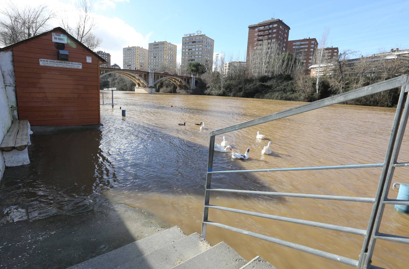 Crecida del río Pisuerga a su paso por Valladolid