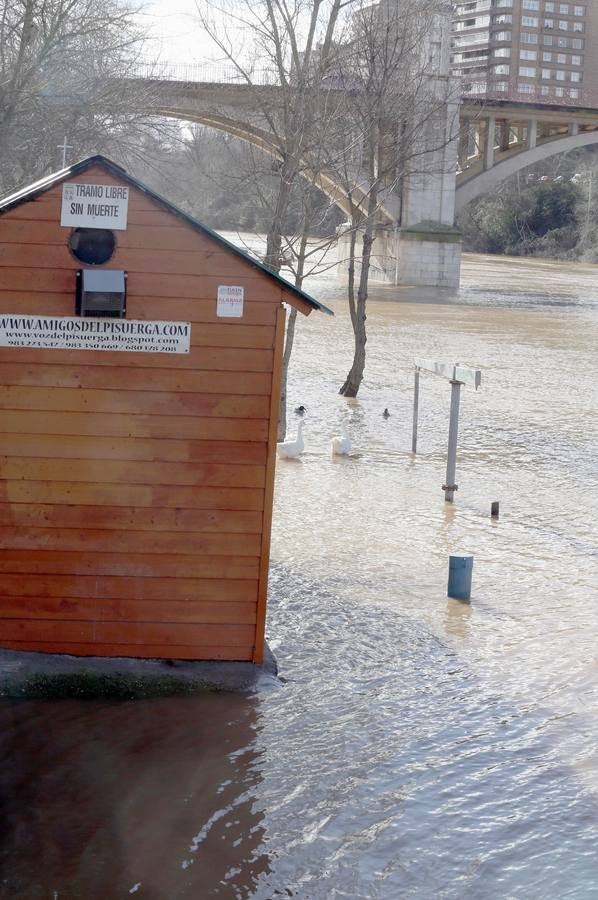 Crecida del río Pisuerga a su paso por Valladolid