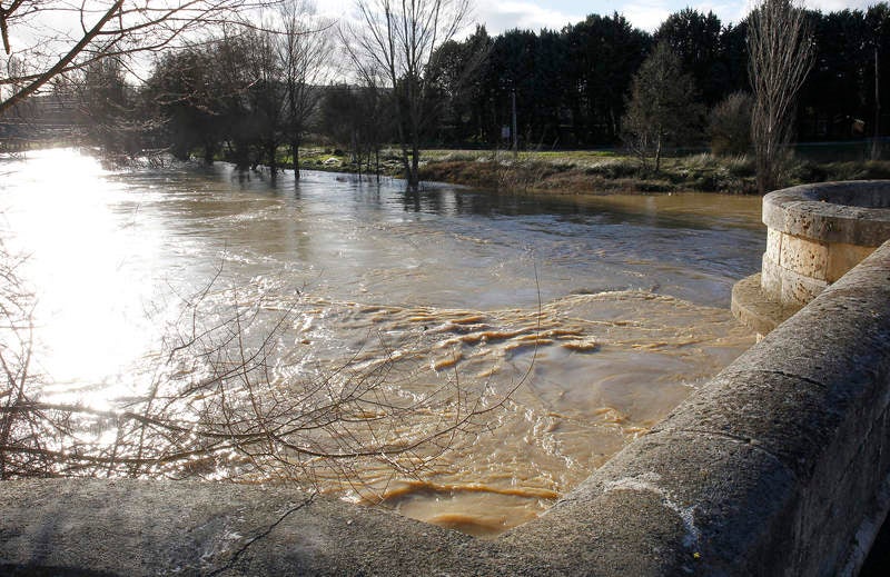 Crecida del río Carrión a su paso por Palencia