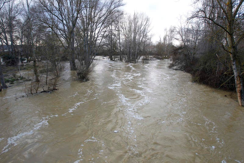 Crecida del río Carrión a su paso por Palencia