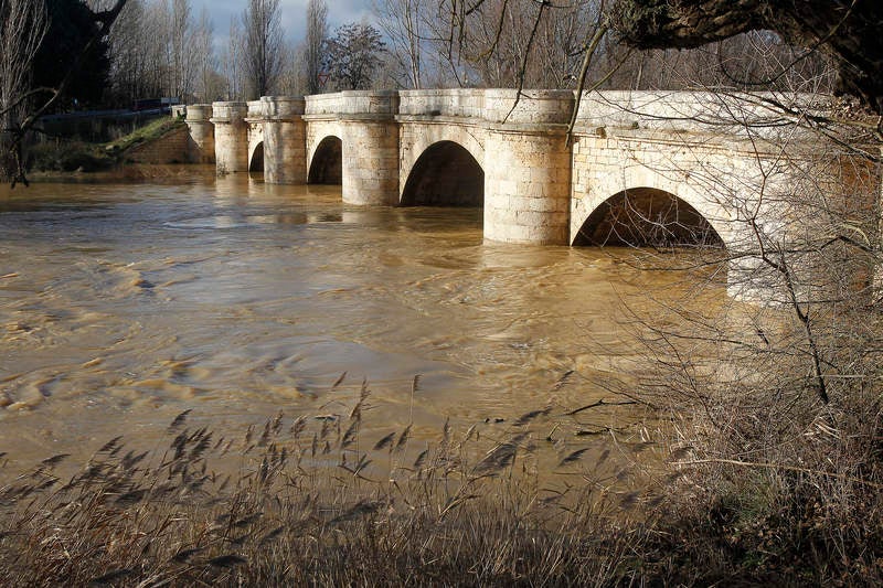 Crecida del río Carrión a su paso por Palencia