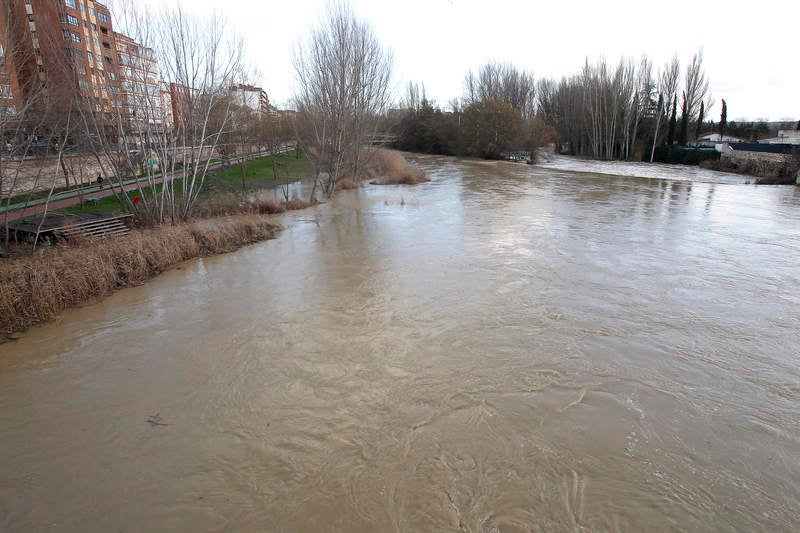 Crecida del río Carrión a su paso por Palencia