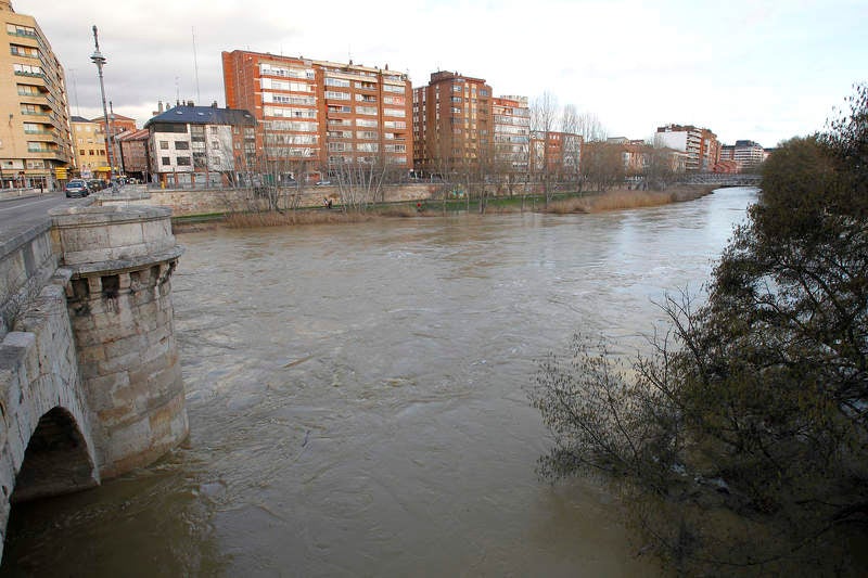 Crecida del río Carrión a su paso por Palencia