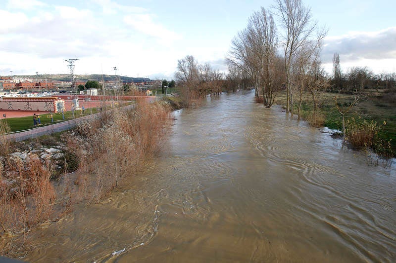 Crecida del río Carrión a su paso por Palencia