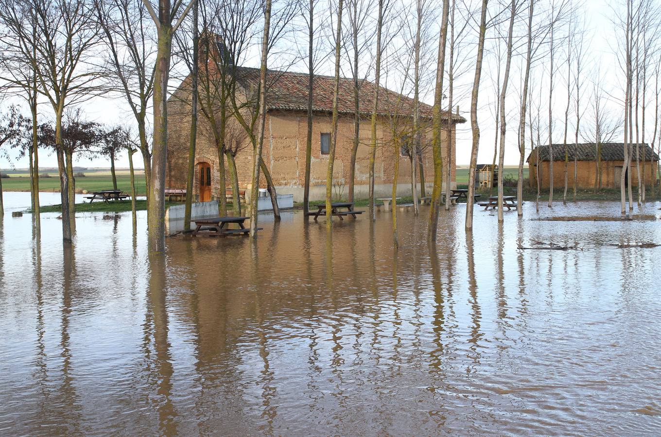 El río Valdavia se desborda en Abia de la Torres (Palencia).