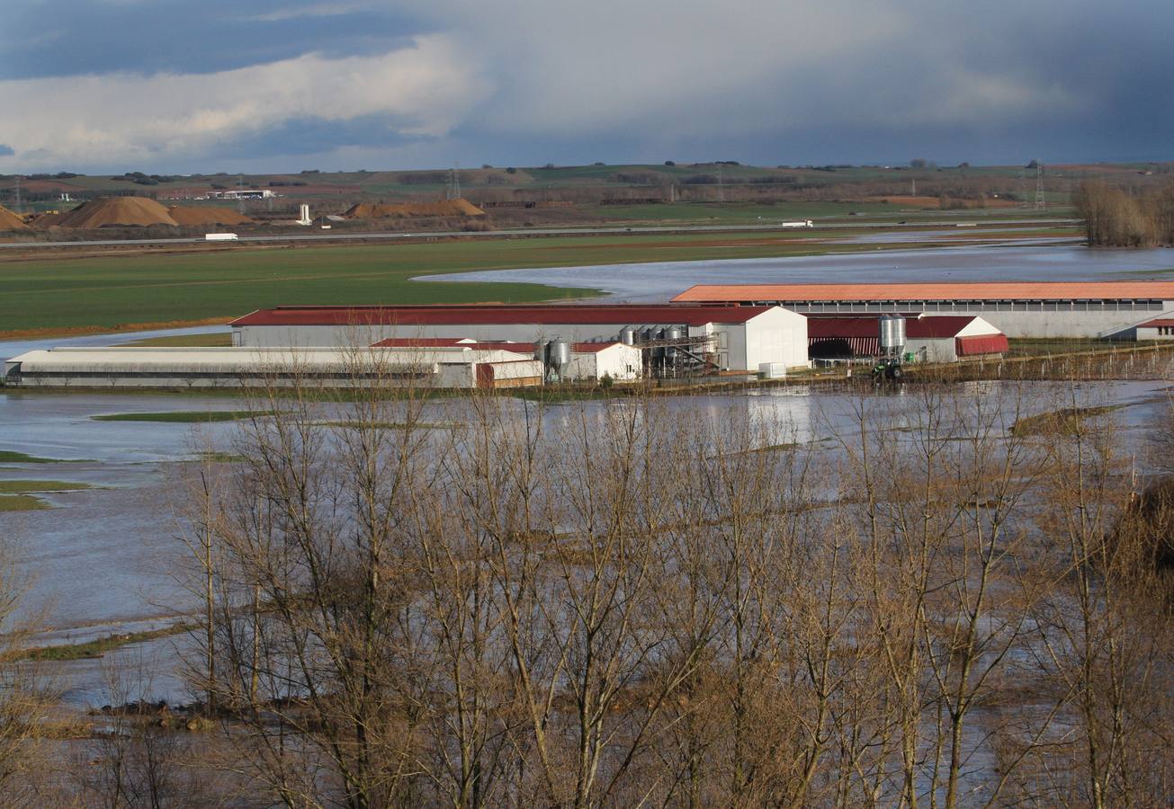 El río Valdavia se desborda en Abia de la Torres (Palencia).