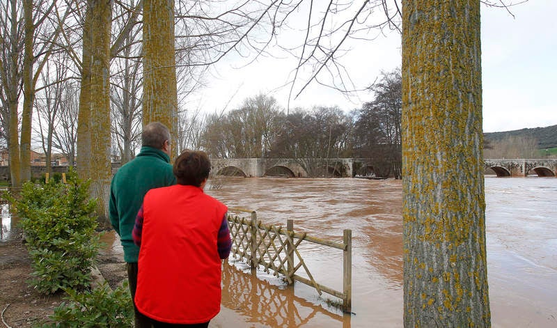 El río Arlanza a su paso por Quintana del Puente.