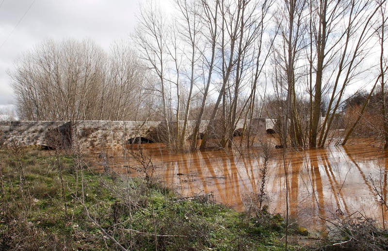 El río Arlanza a su paso por Quintana del Puente.