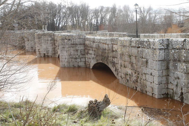 El río Arlanza a su paso por Quintana del Puente.