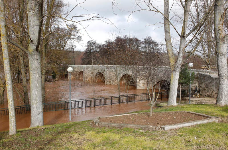 El río Arlanza a su paso por Quintana del Puente.