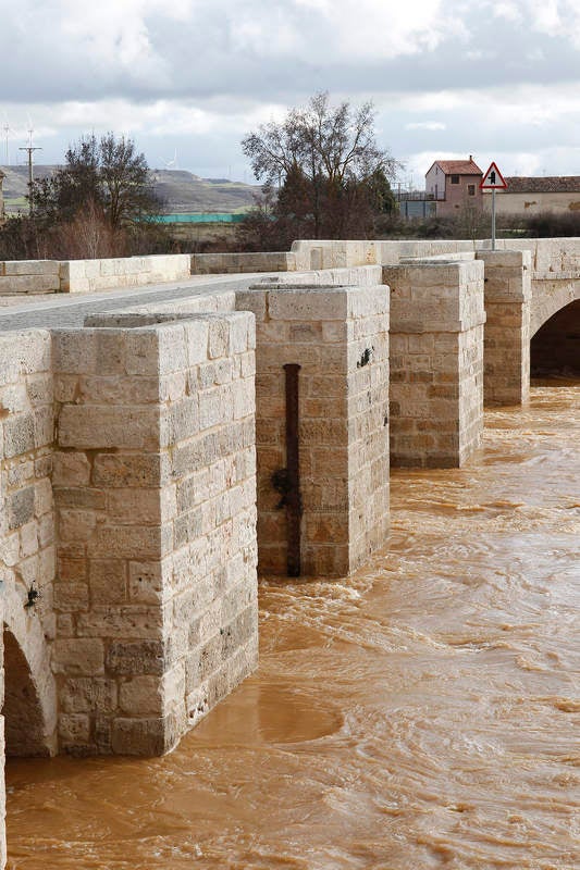 El río Pisuerga a su paso por Torquemada.