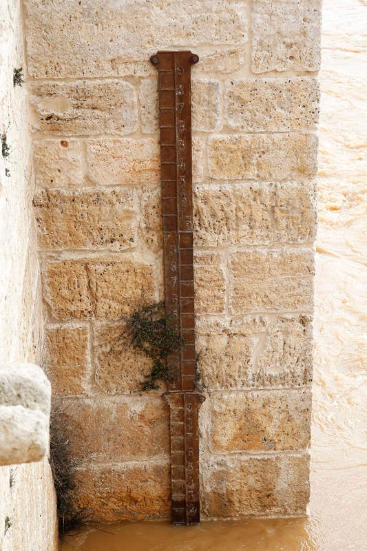 El río Pisuerga a su paso por Torquemada.