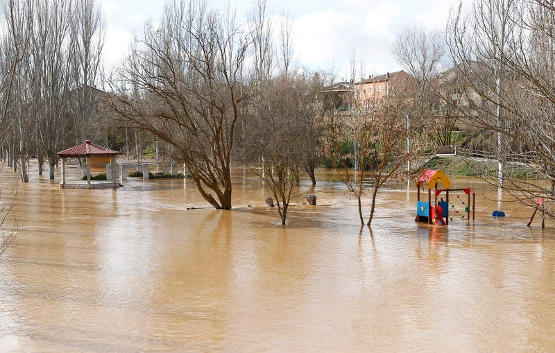 El río Pisuerga a su paso por Torquemada.