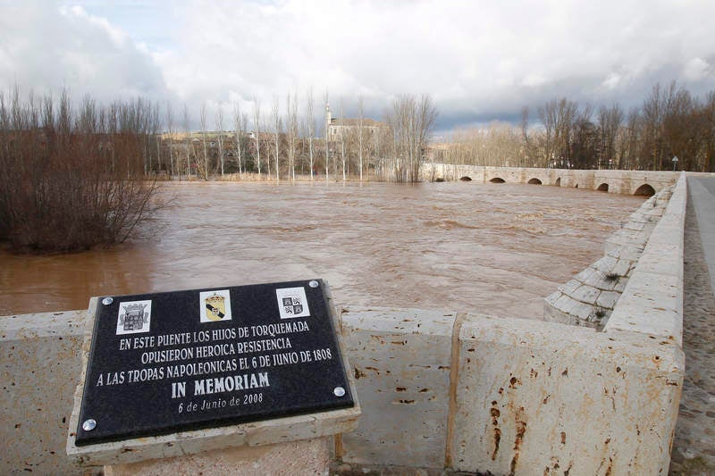 El río Pisuerga a su paso por Torquemada.