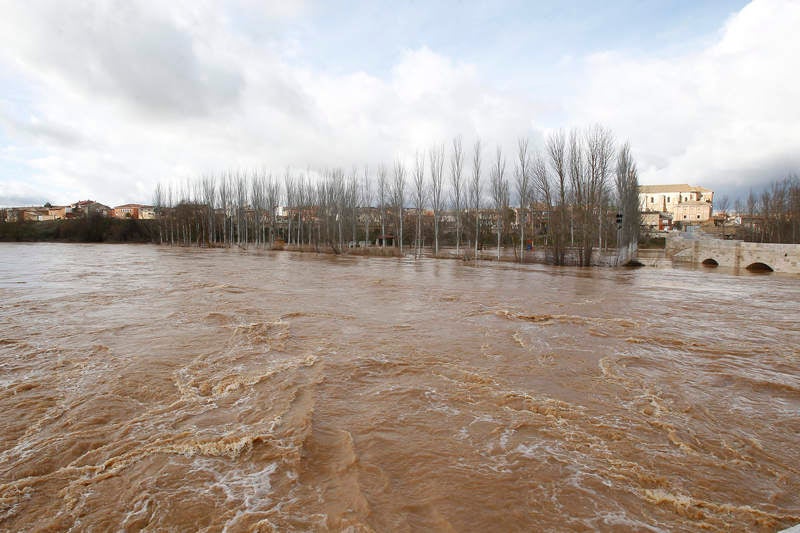 El río Pisuerga a su paso por Torquemada.