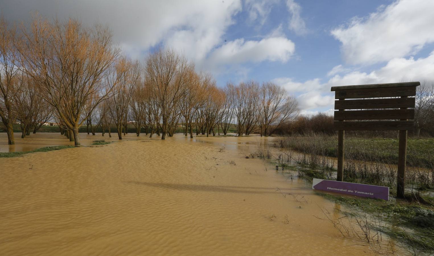 Inundaciones en Tamariz de Campos.