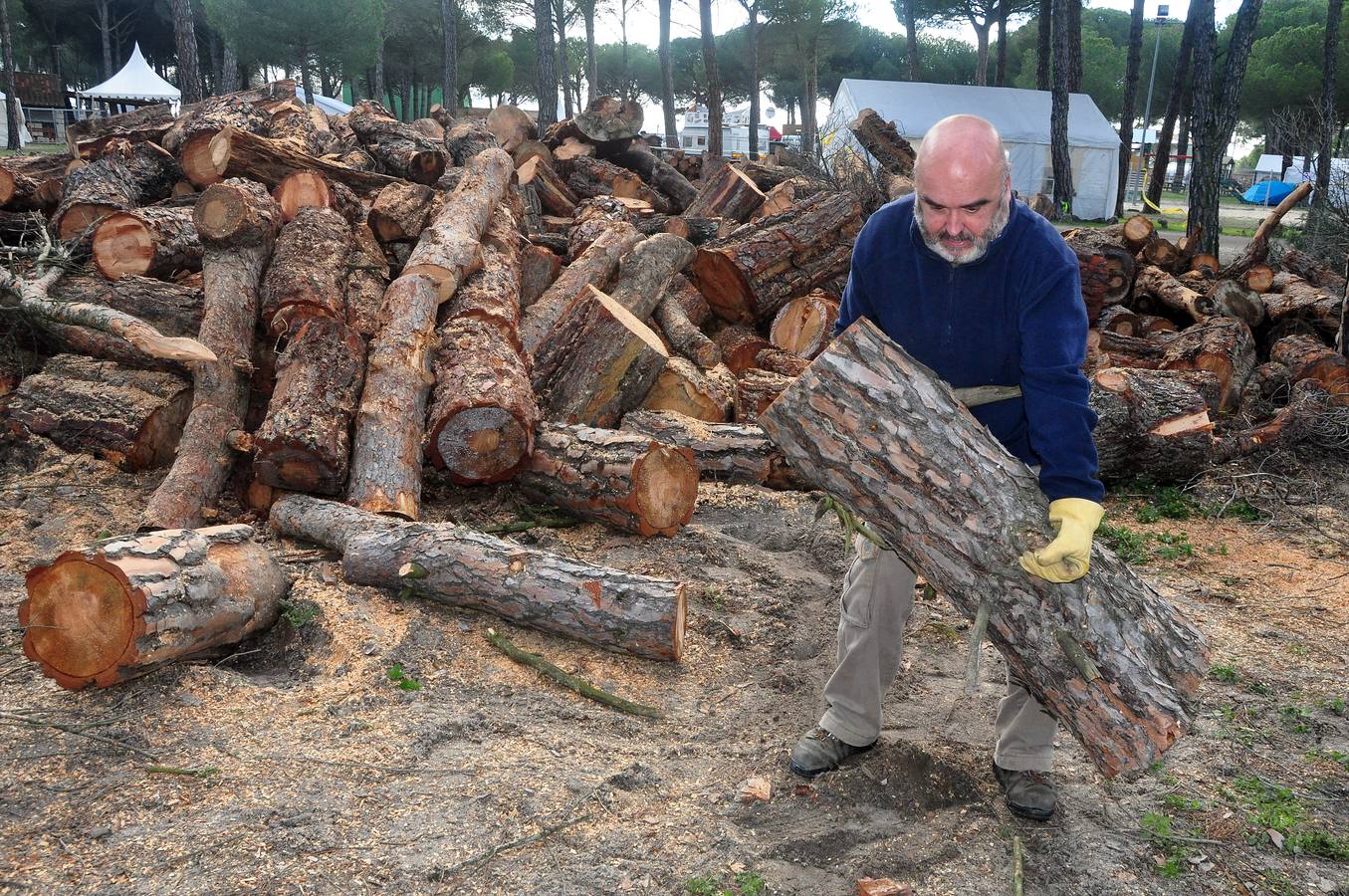 Últimos preparativos y llegada de los primeros Motauros a Tordesillas