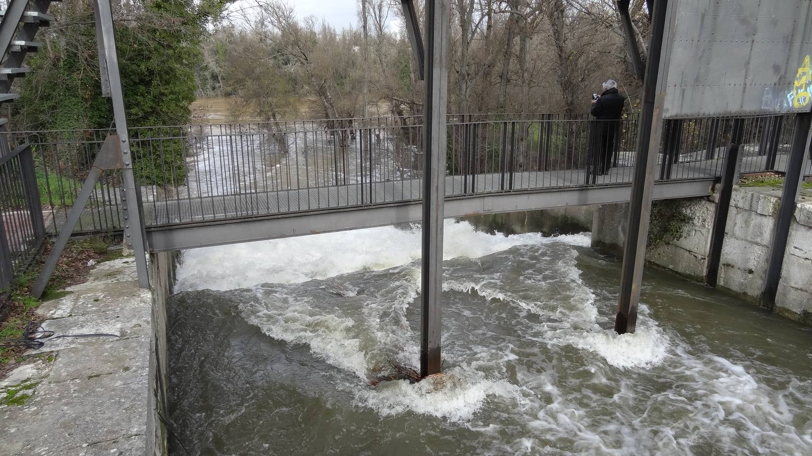 El caudal del Esgueva sigue creciendo a su paso por Valladolid