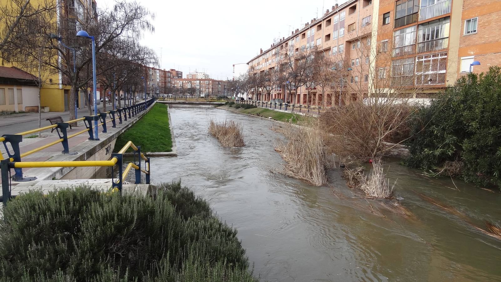 El caudal del Esgueva sigue creciendo a su paso por Valladolid