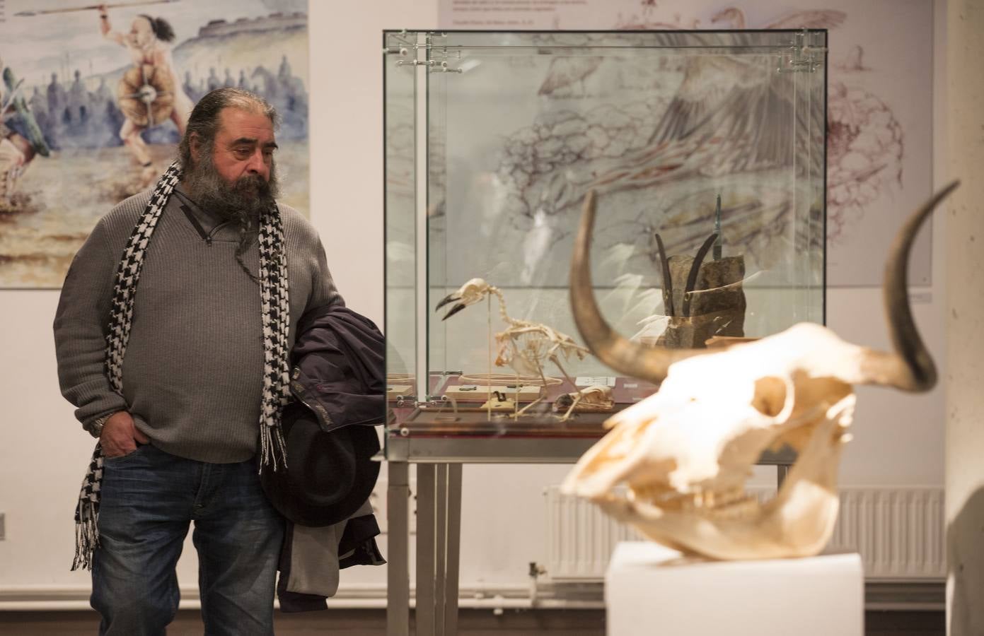 La Casa Revilla de Valladolid acoge la exposición &#039;El bestiario vacceo. VacceArte&#039;