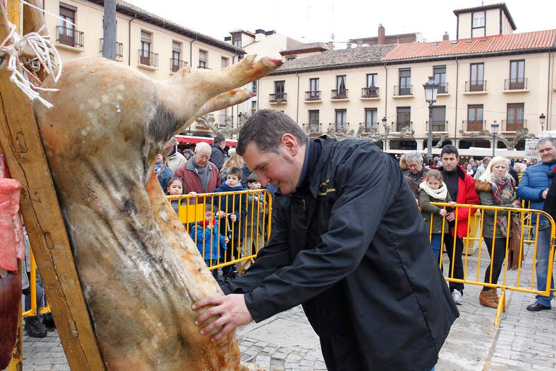 La matanza del cerdo protagoniza la fiesta de las Candelas en Palencia