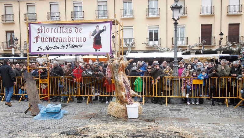 La matanza del cerdo protagoniza la fiesta de las Candelas en Palencia