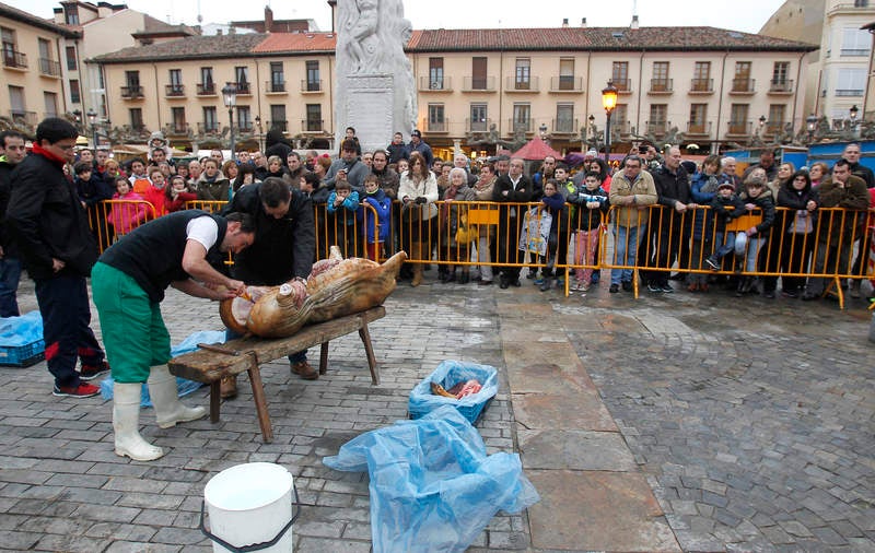 La matanza del cerdo protagoniza la fiesta de las Candelas en Palencia