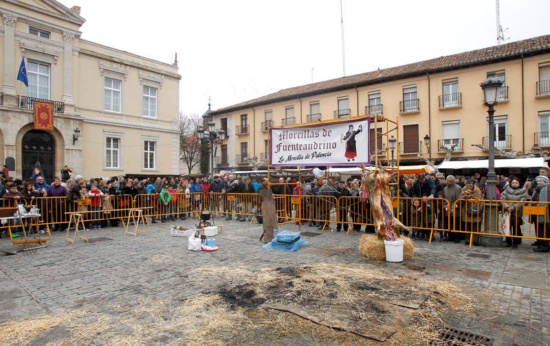 La matanza del cerdo protagoniza la fiesta de las Candelas en Palencia
