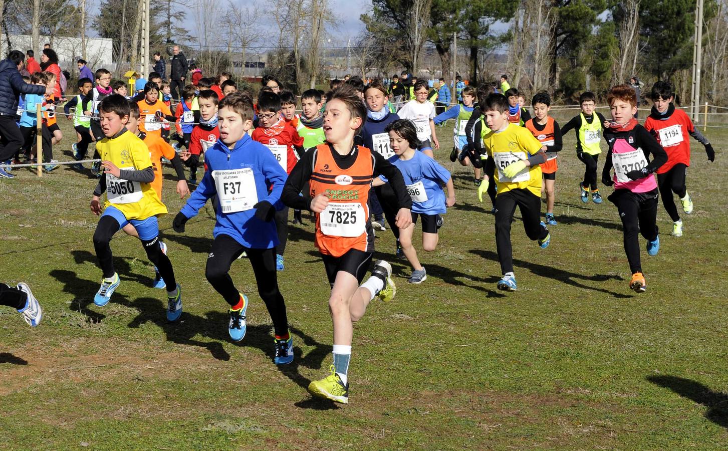 XXVIII Cros Internacional Ciudad de Valladolid (2/2)