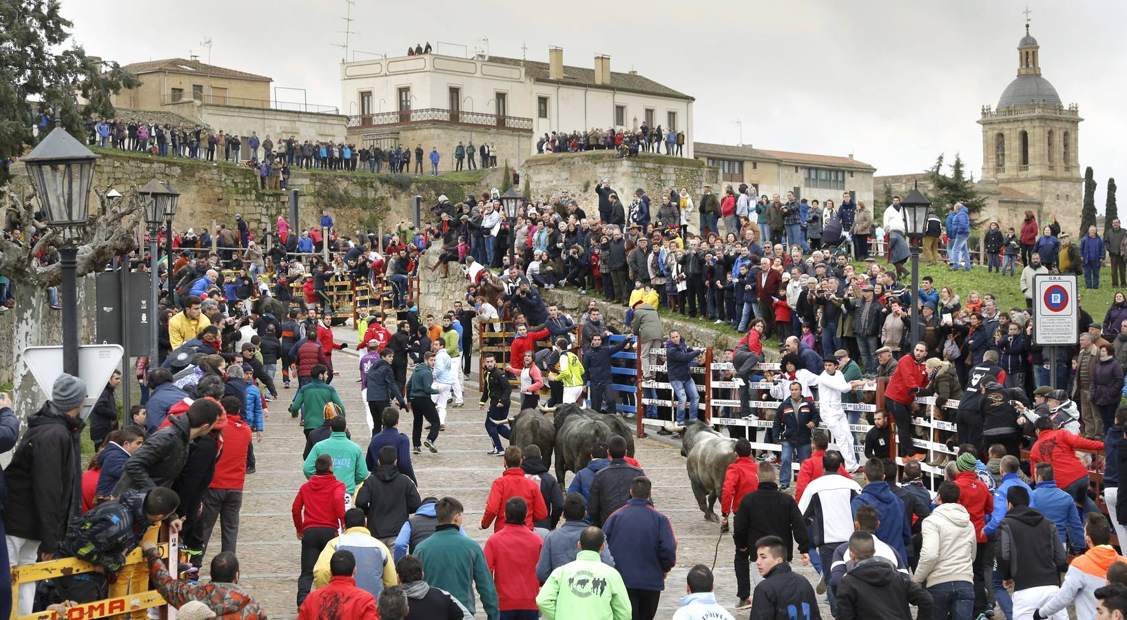 Jornada del lunes en el Carnaval del Toro de Ciudad Rodrigo (Salamanca)