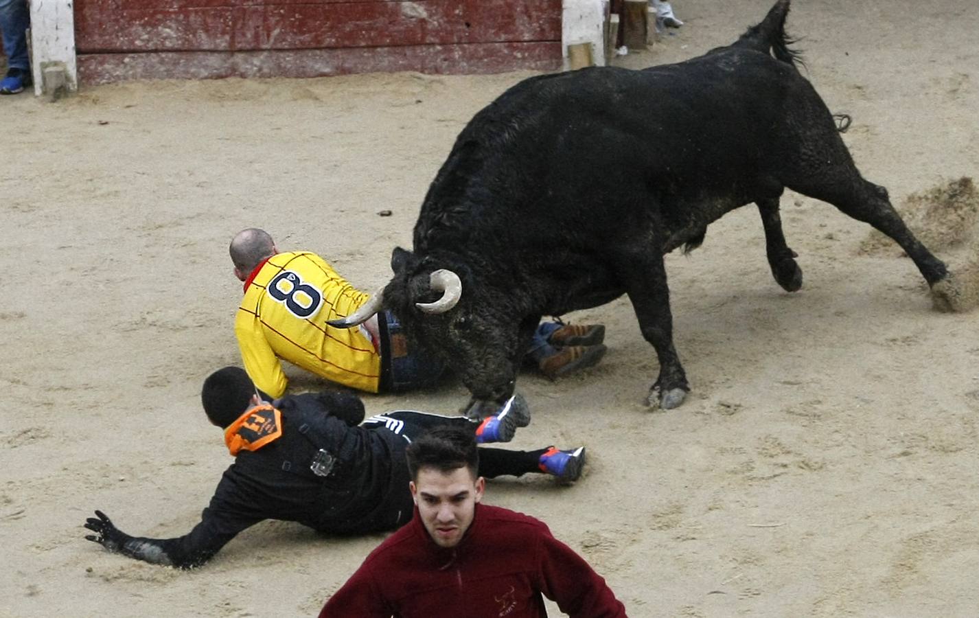 Jornada del lunes en el Carnaval del Toro de Ciudad Rodrigo (Salamanca)