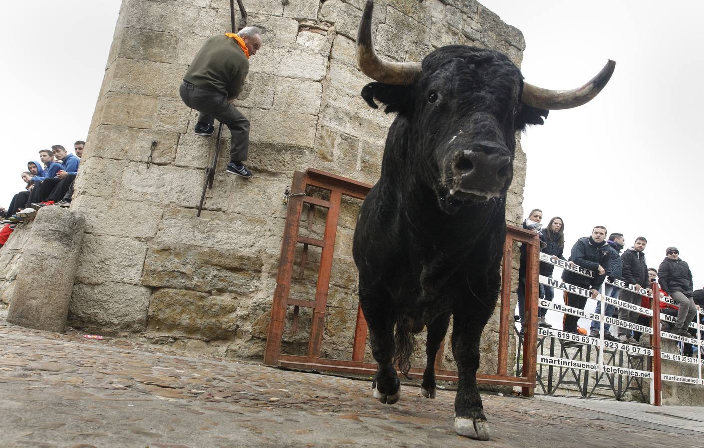 Jornada del lunes en el Carnaval del Toro de Ciudad Rodrigo (Salamanca)