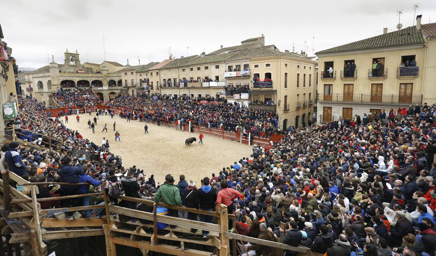 Jornada del lunes en el Carnaval del Toro de Ciudad Rodrigo (Salamanca)