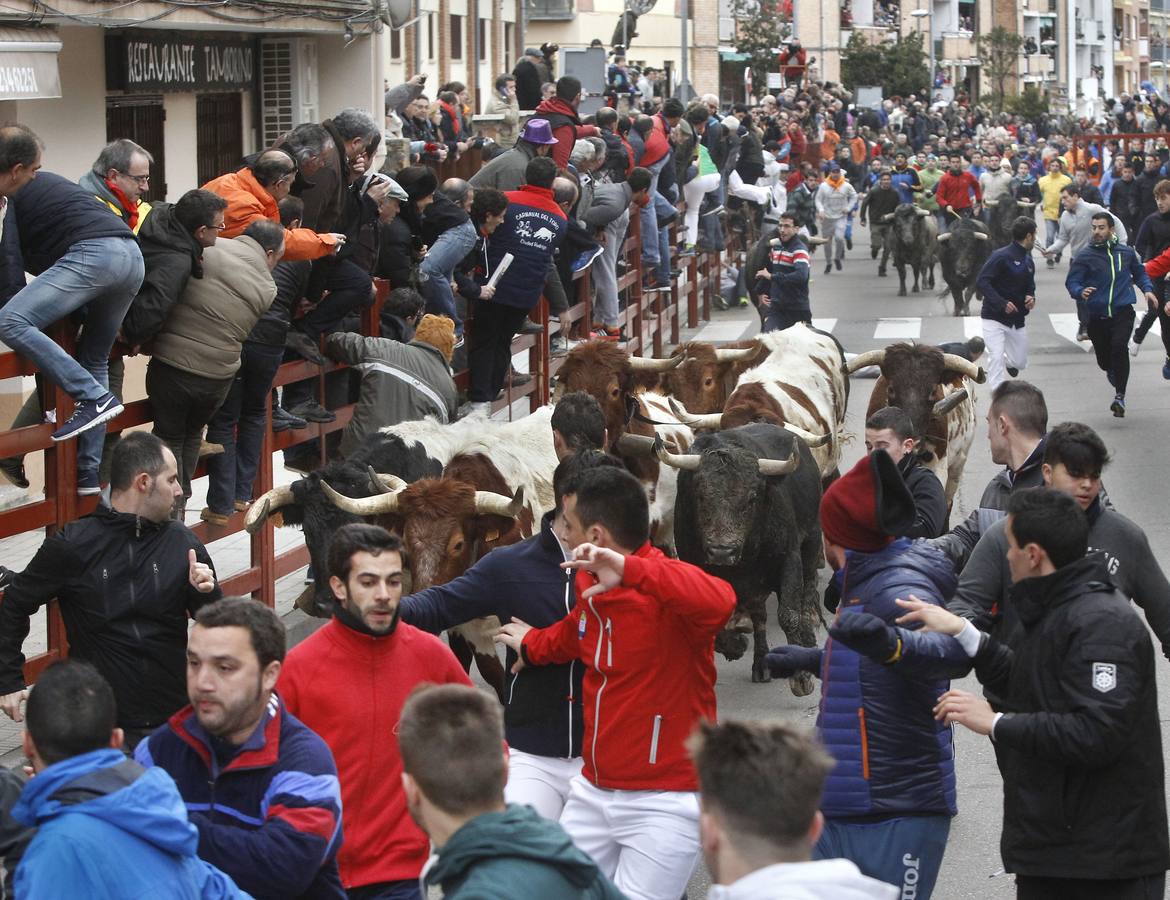 Jornada del lunes en el Carnaval del Toro de Ciudad Rodrigo (Salamanca)