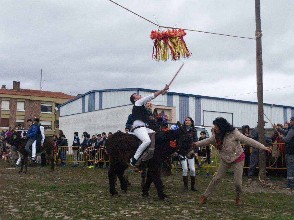 Carrera de cintas de los quintos de Pedrajas de San Esteban