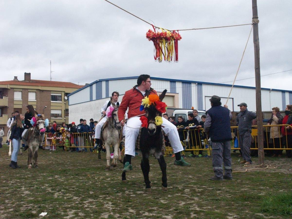 Carrera de cintas de los quintos de Pedrajas de San Esteban