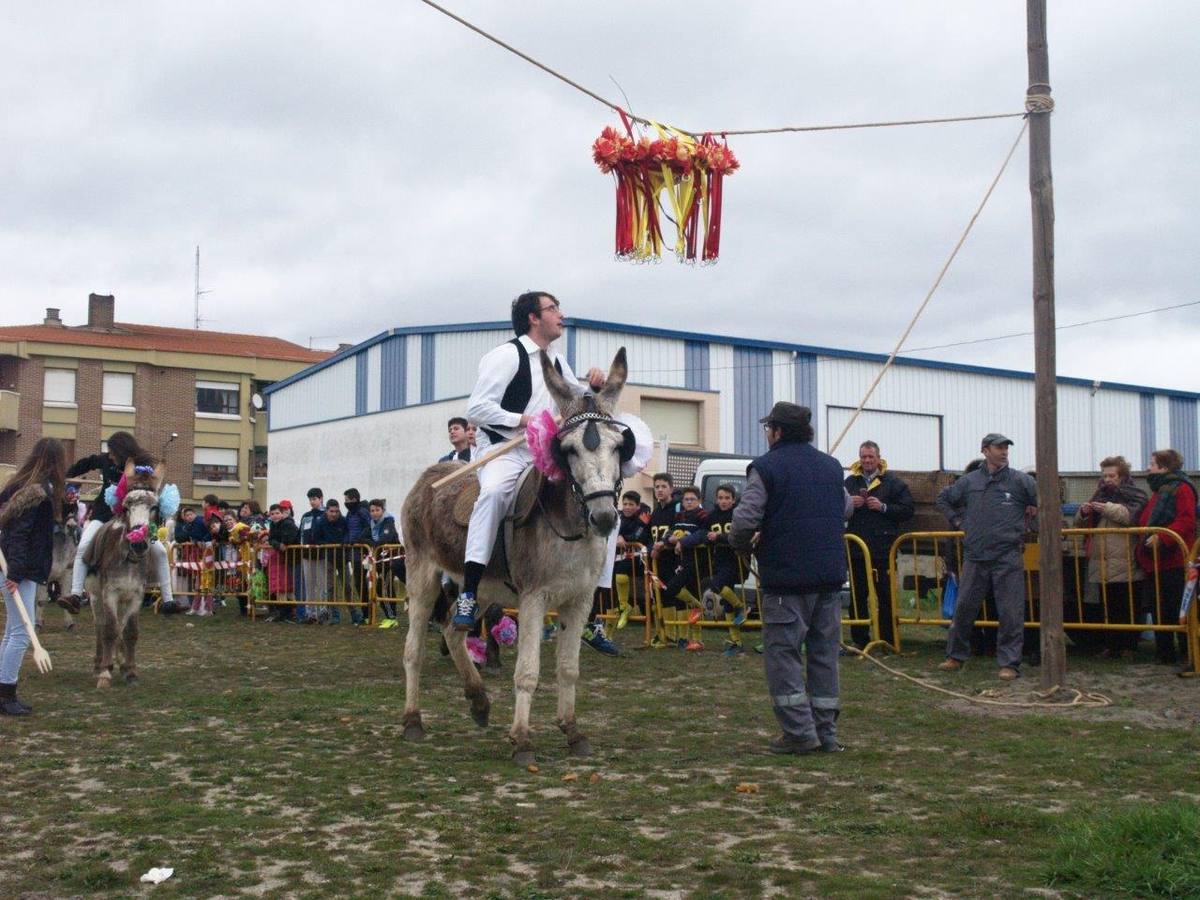 Carrera de cintas de los quintos de Pedrajas de San Esteban