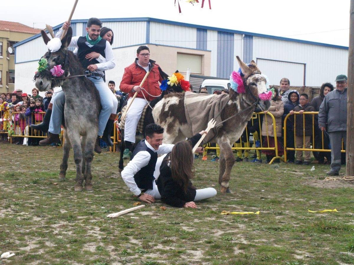 Carrera de cintas de los quintos de Pedrajas de San Esteban