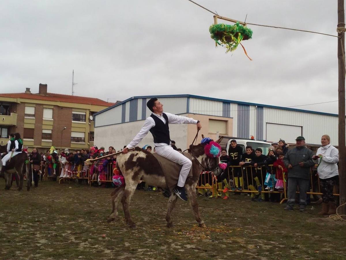 Carrera de cintas de los quintos de Pedrajas de San Esteban