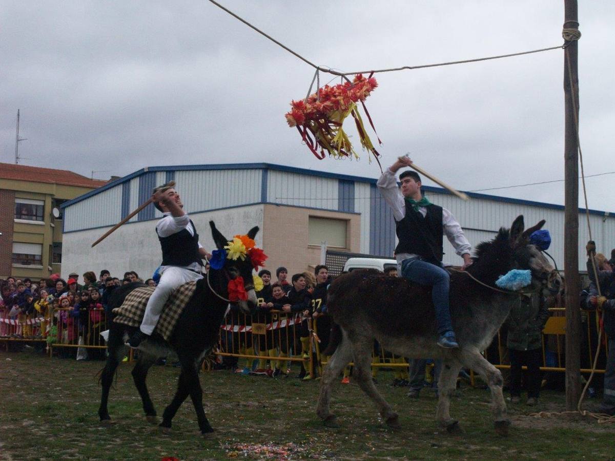 Carrera de cintas de los quintos de Pedrajas de San Esteban