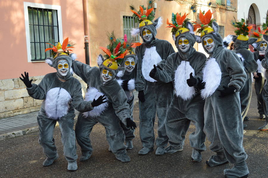 Desfile en el Carnaval de Toro