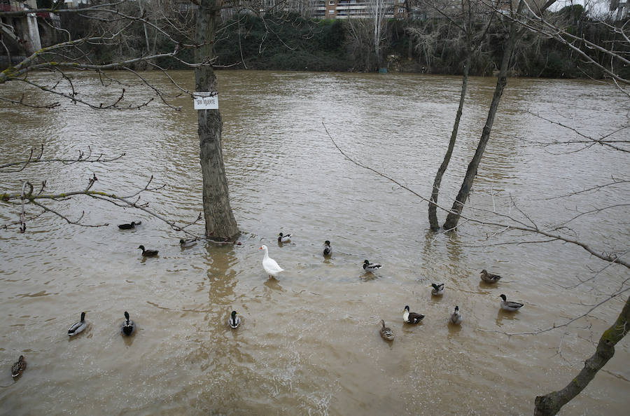 Río Pisuerga en la capital vallisoletana.