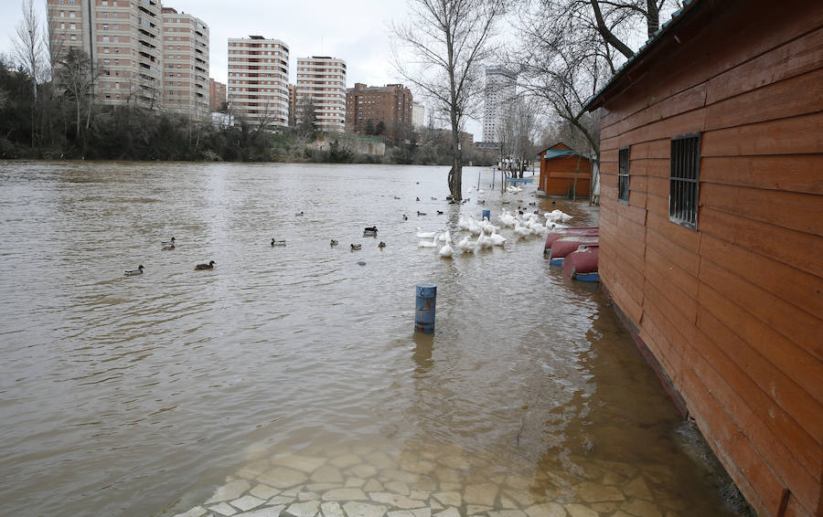 Río Pisuerga en la capital vallisoletana.