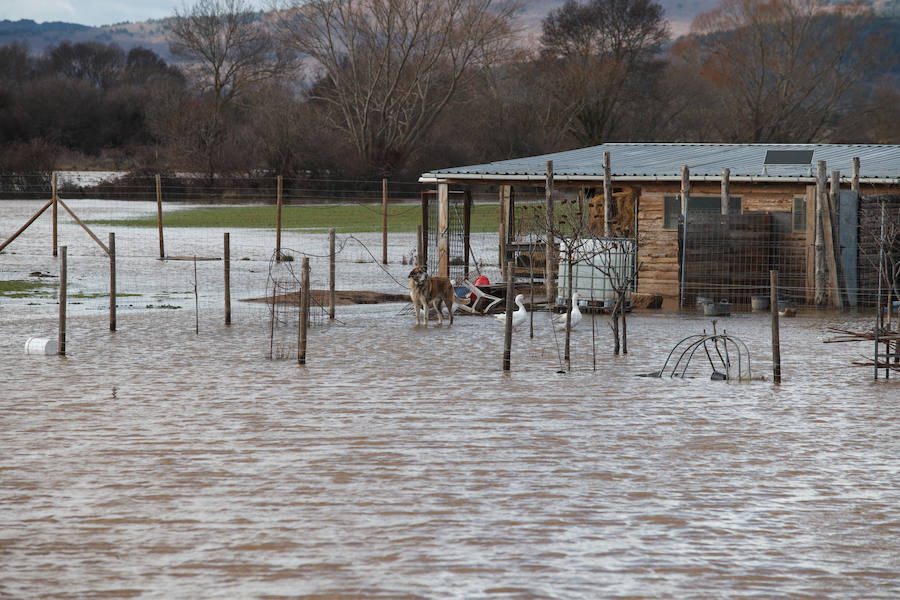 Inundaciones en la provincia de Soria.