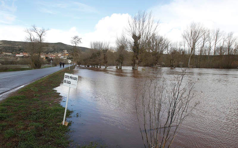 Desbordamiento del río Arlanza a su paso por Palenzuela (Palencia)